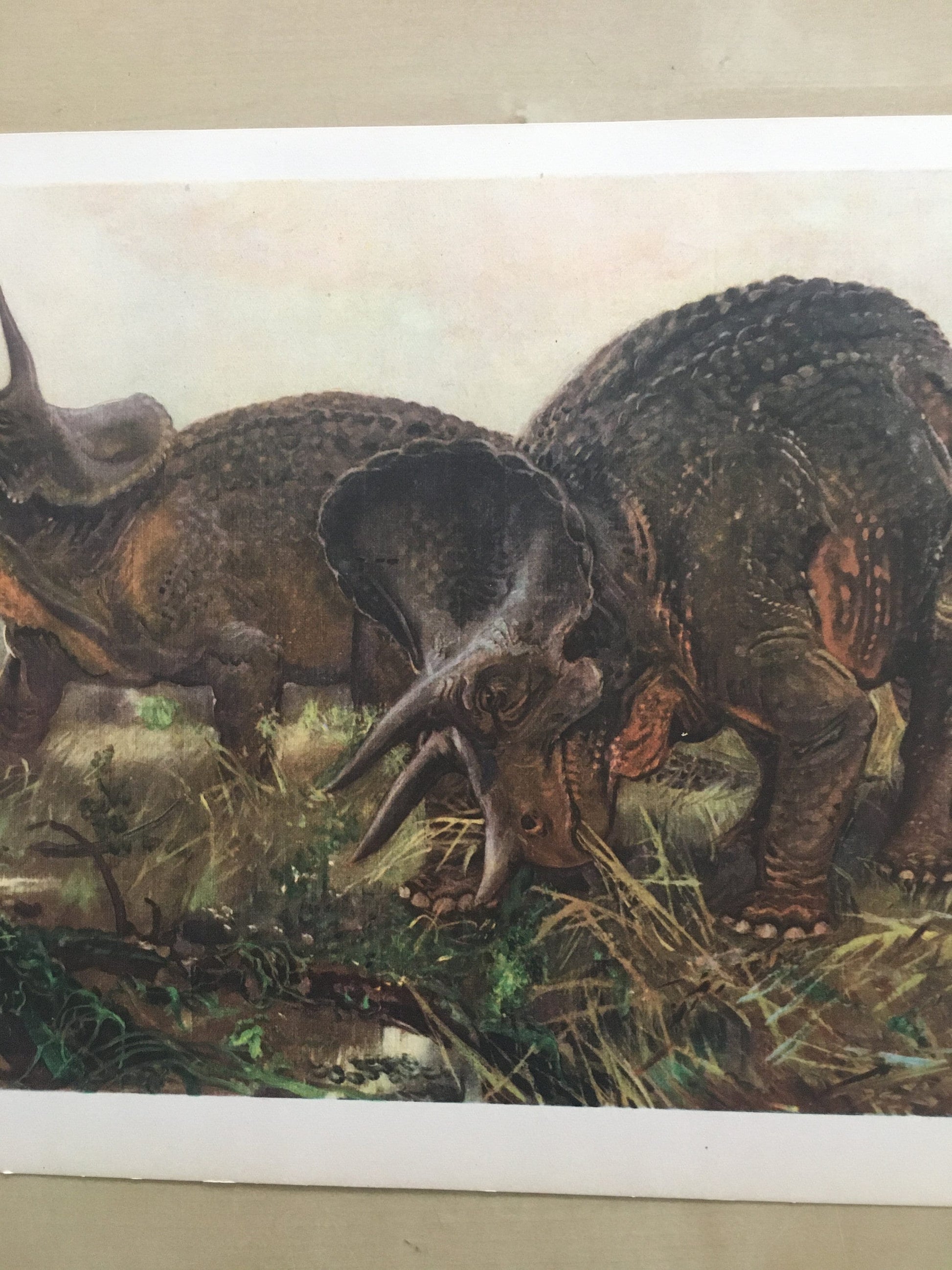 1960 TRICERATOPS DINOSAUR Print - Prehistoric Animals Print - Paleoart - Dinosaur Decoration - 63 Years Old - 13.5 x 9.75 Inches