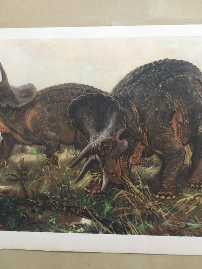 1960 TRICERATOPS DINOSAUR Print - Prehistoric Animals Print - Paleoart - Dinosaur Decoration - 63 Years Old - 13.5 x 9.75 Inches