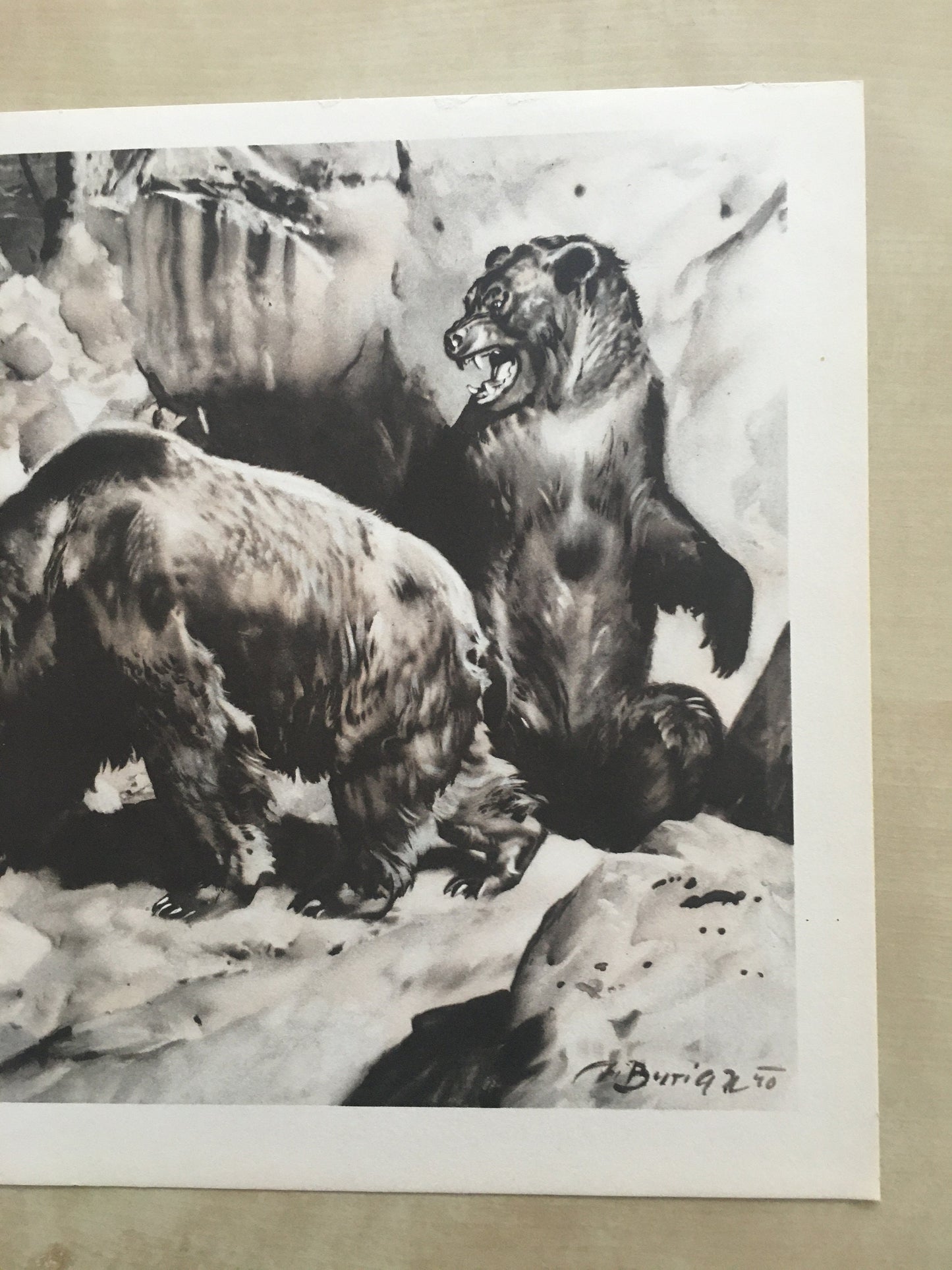 1960 CAVE BEAR & NEANDERTHALS Print - Prehistoric Animals Print - Paleoart - Cave Man Art - 63 Years Old - 13.5 x 9.75 Inches