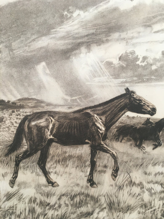 1960 MERYCHIPPUS Print - Prehistoric Animals Print - Paleoart - Eocene Horse - 63 Years Old - 13.5 x 9.75 Inches