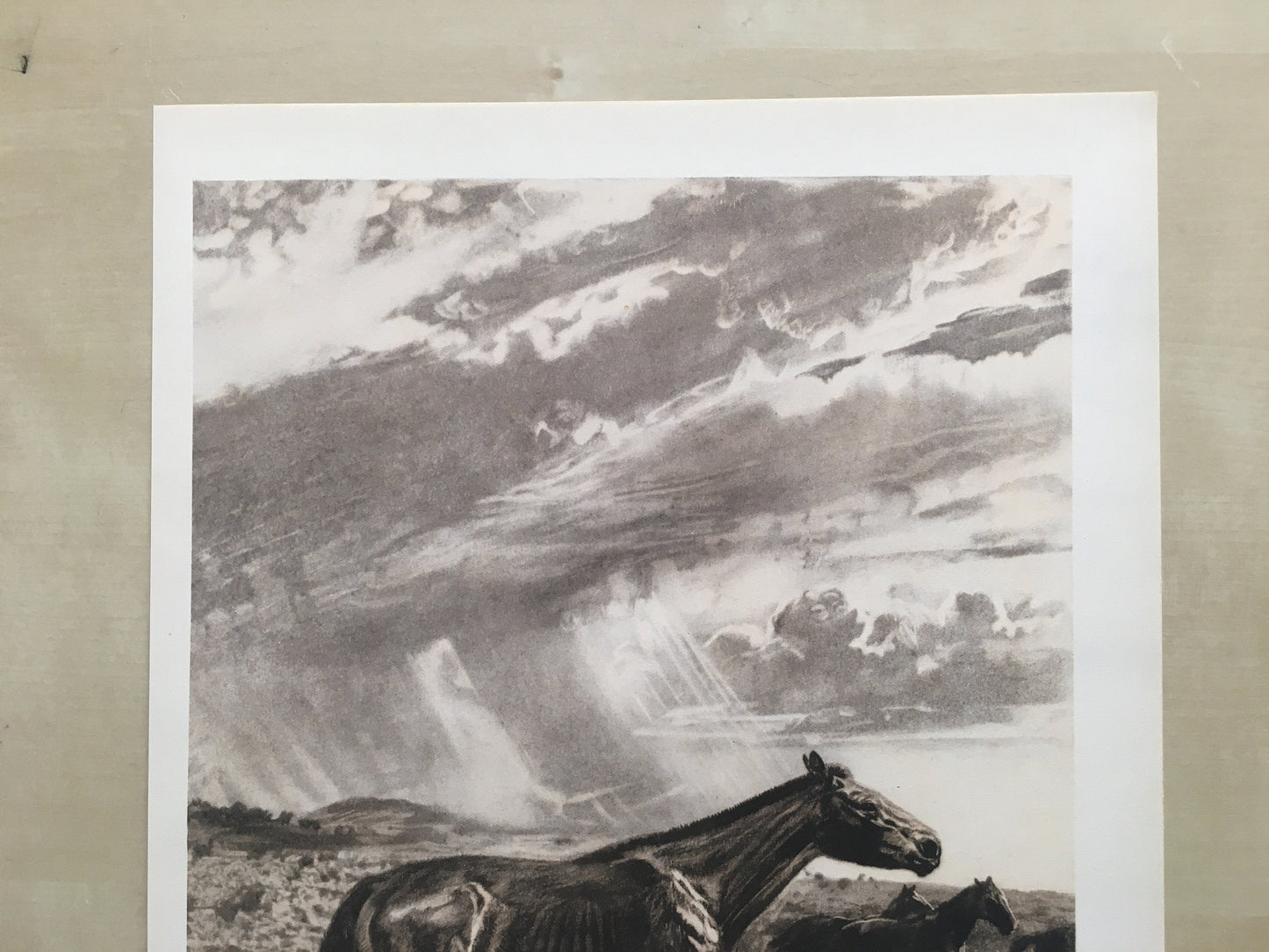 1960 MERYCHIPPUS Print - Prehistoric Animals Print - Paleoart - Eocene Horse - 63 Years Old - 13.5 x 9.75 Inches