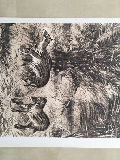 1960 EOHIPPUS Print - Prehistoric Animals Print - Paleoart - Eocene Horse - Eohippus Art - 63 Years Old - 13.5 x 9.75 Inches