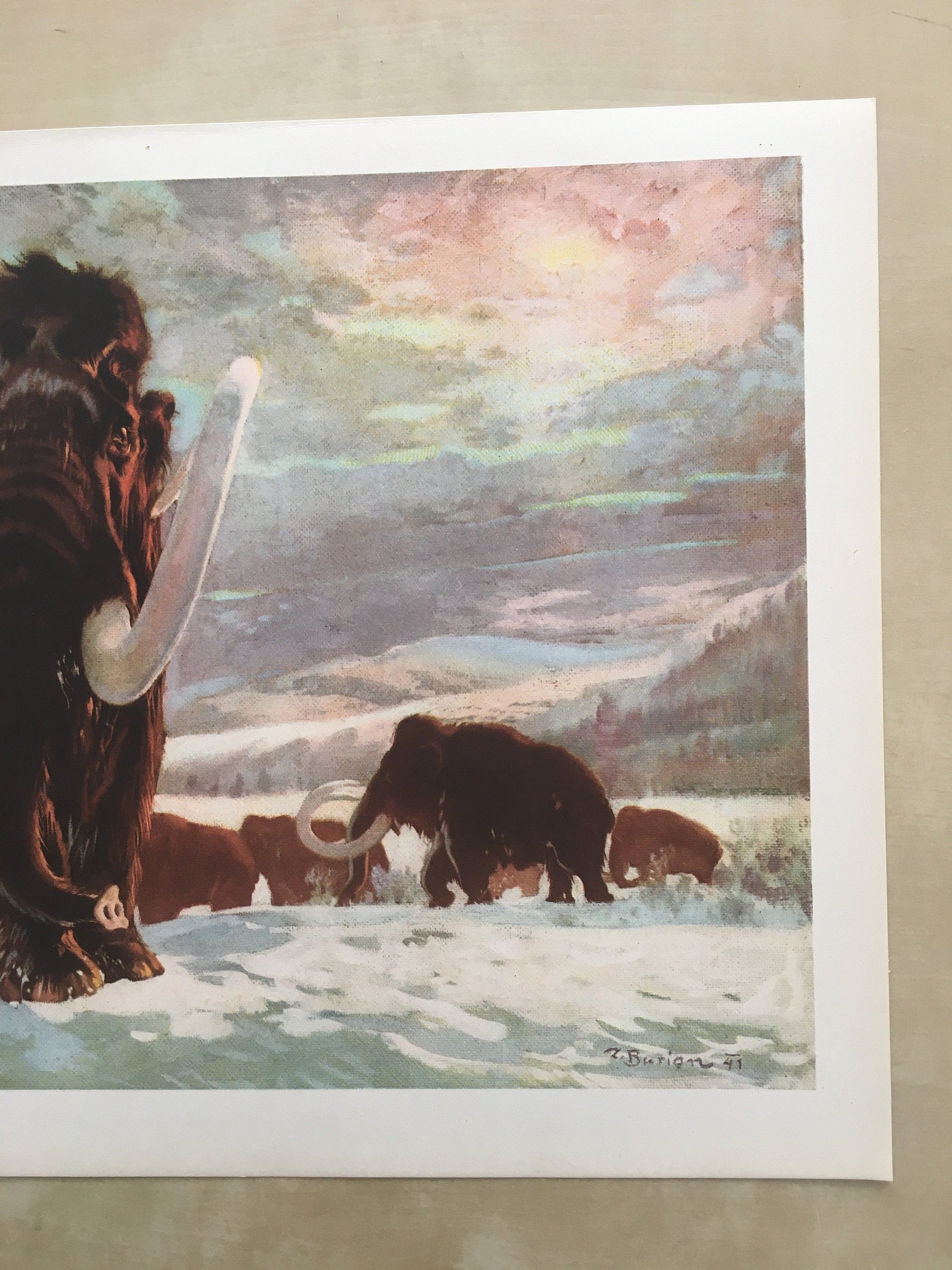 1960 WOOLLY MAMMOTH Print - Prehistoric Animals Print - Paleoart - Mammoth Wall Art - 63 Years Old - 13.5 x 9.75 Inches