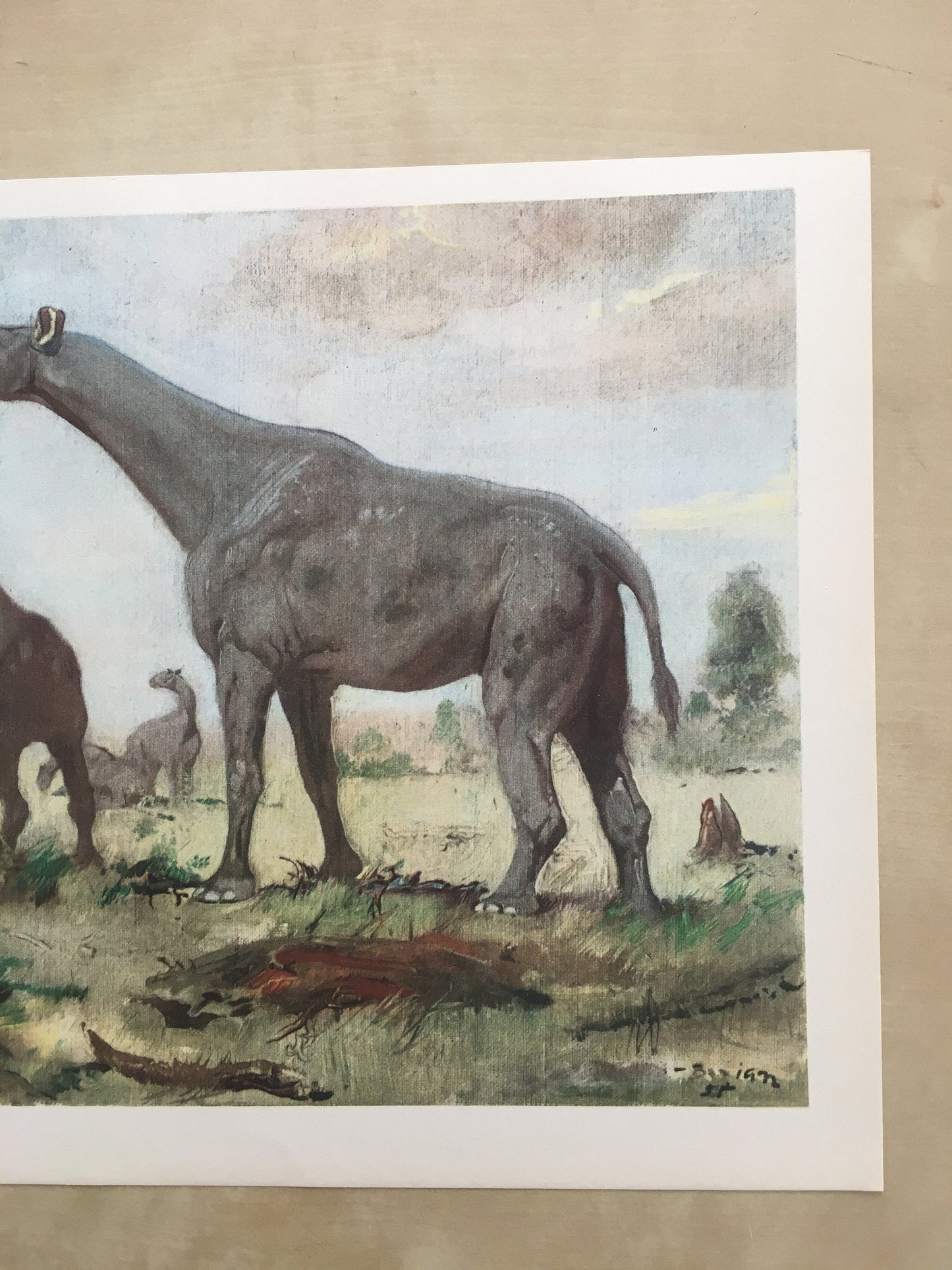 1960 INDRICOTHERIUM Print - Prehistoric Animals Print - Paleoart - Cave Man Art - Hornless Rhino - 63 Years Old - 13.5 x 9.75 Inches