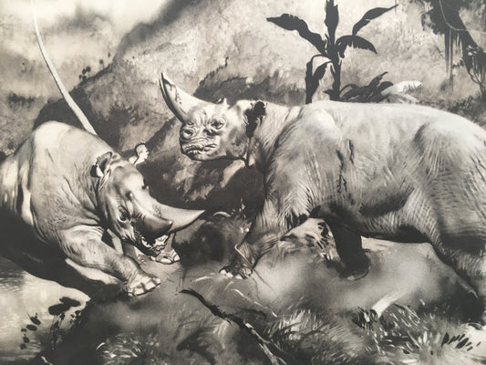 1960 ARSINOITHERIUM Print - Prehistoric Animals Print - Paleoart - Cave Man Art - 63 Years Old - 13.5 x 9.75 Inches