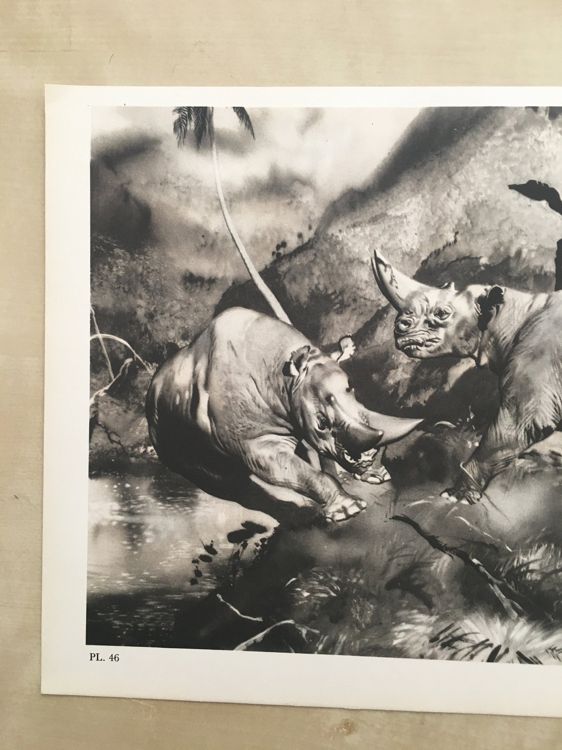 1960 ARSINOITHERIUM Print - Prehistoric Animals Print - Paleoart - Cave Man Art - 63 Years Old - 13.5 x 9.75 Inches