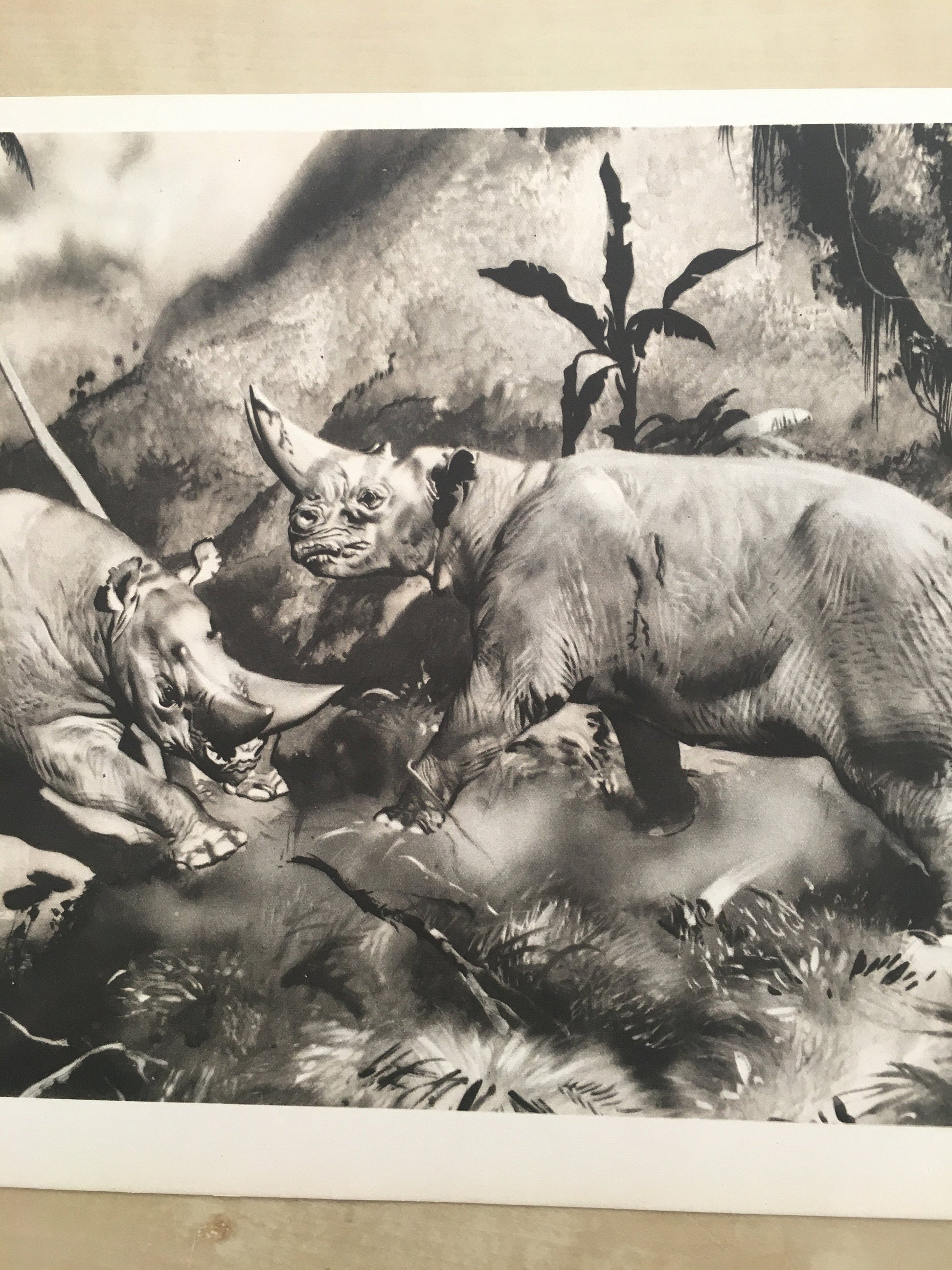 1960 ARSINOITHERIUM Print - Prehistoric Animals Print - Paleoart - Cave Man Art - 63 Years Old - 13.5 x 9.75 Inches