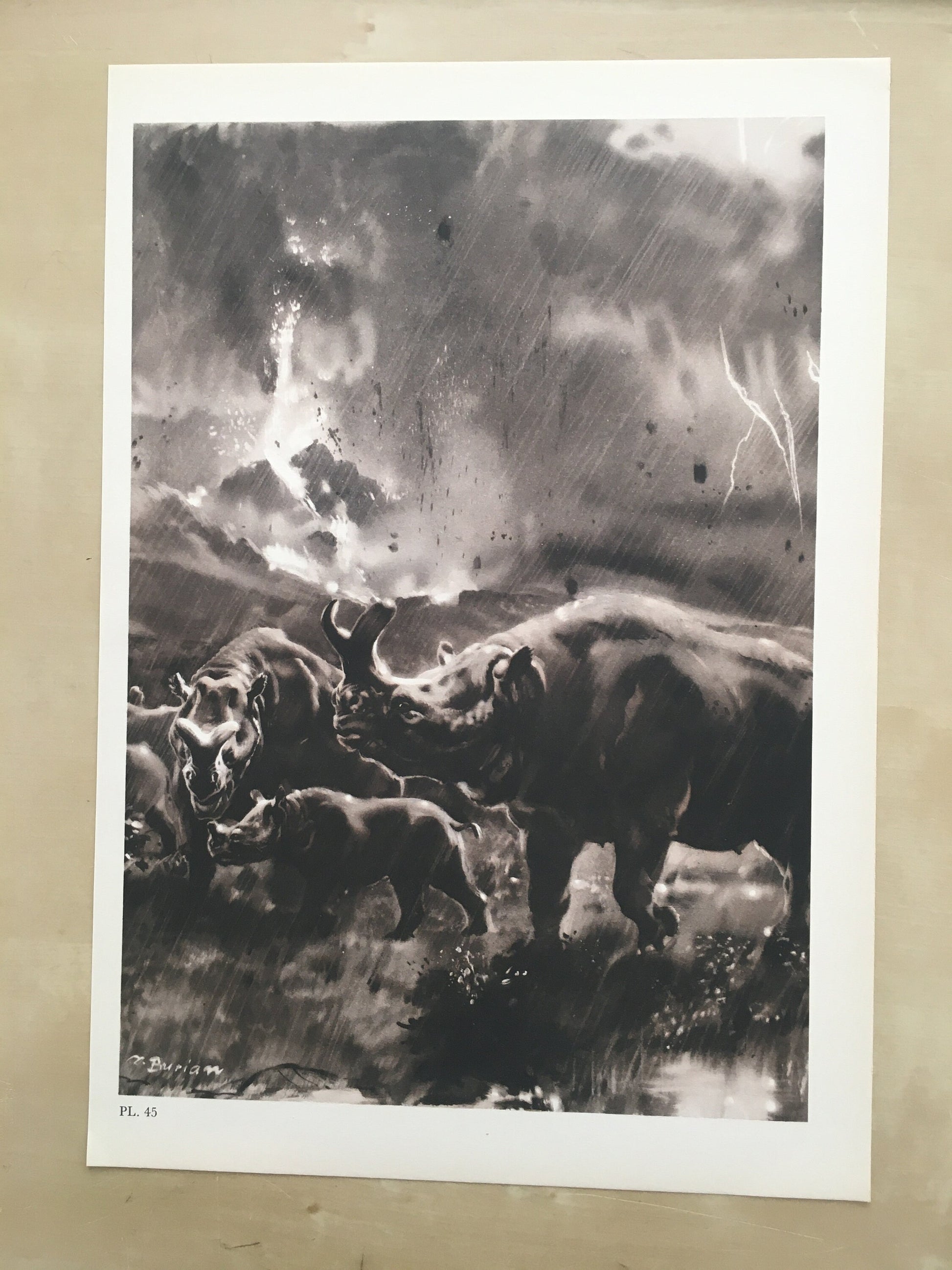 1960 MEGACEROPS Print - Prehistoric Animals Print - Paleoart - Paleontology Print - 63 Years Old - 13.5 x 9.75 Inches