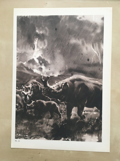 1960 MEGACEROPS Print - Prehistoric Animals Print - Paleoart - Paleontology Print - 63 Years Old - 13.5 x 9.75 Inches