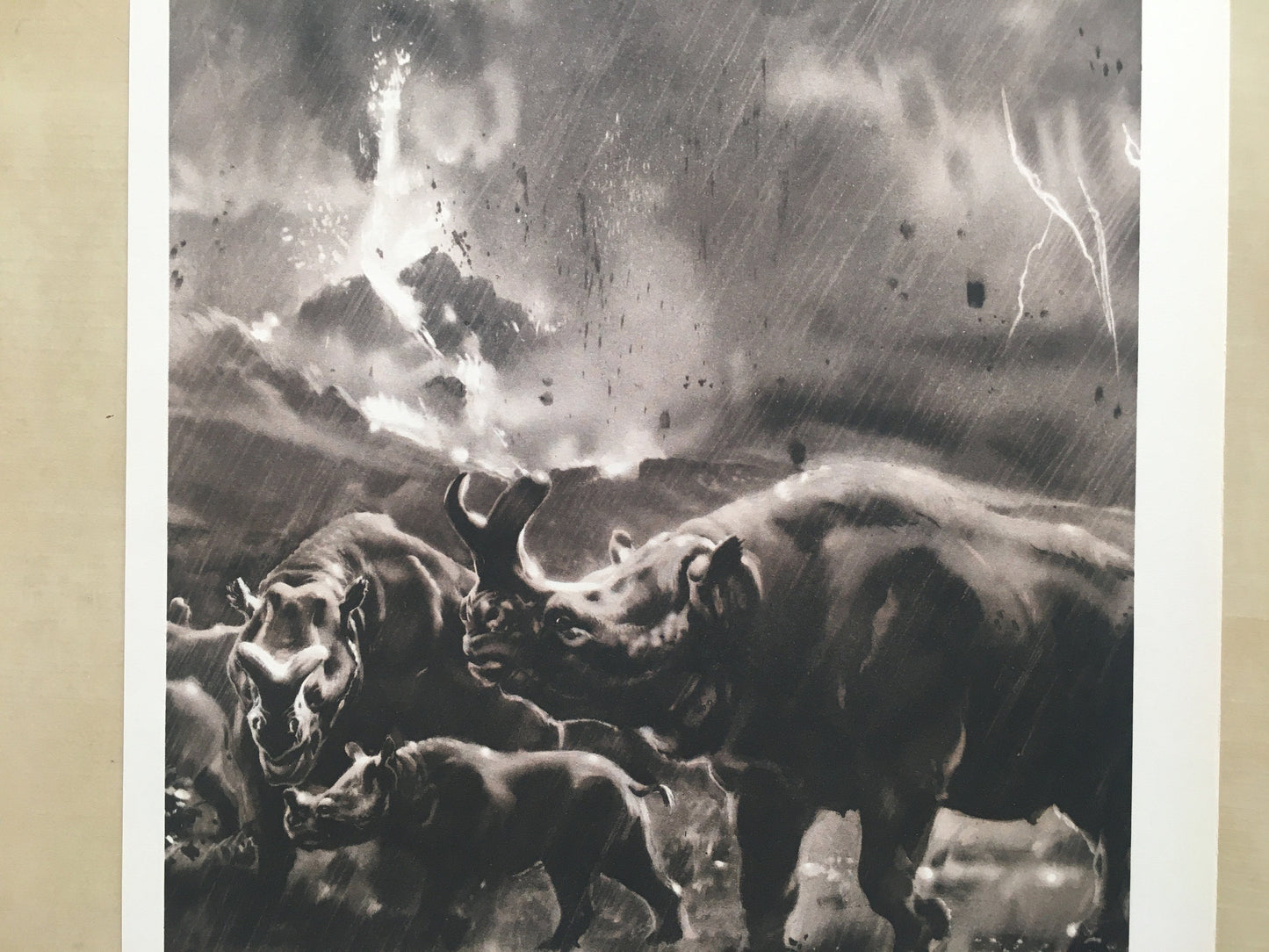 1960 MEGACEROPS Print - Prehistoric Animals Print - Paleoart - Paleontology Print - 63 Years Old - 13.5 x 9.75 Inches