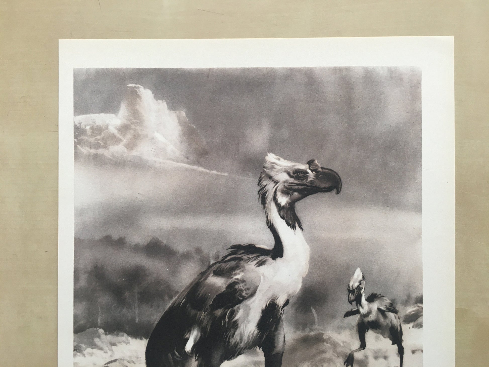 1960 PHORUSRHACOS Print - Prehistoric Animals Print - Paleoart - Paleontology Print - Extinct Bird Print - 63 Years Old - 13.5 x 9.75 Inches