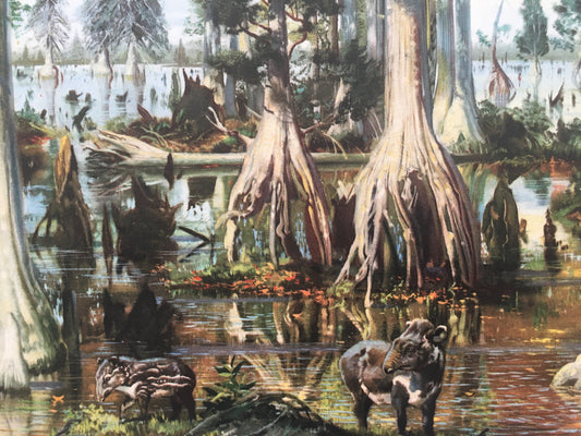 1960 TERTIARY ERA FOREST Print - Prehistoric Animals Print - Paleoart - Paleontology Print - 63 Years Old - 13.5 x 9.75 Inches