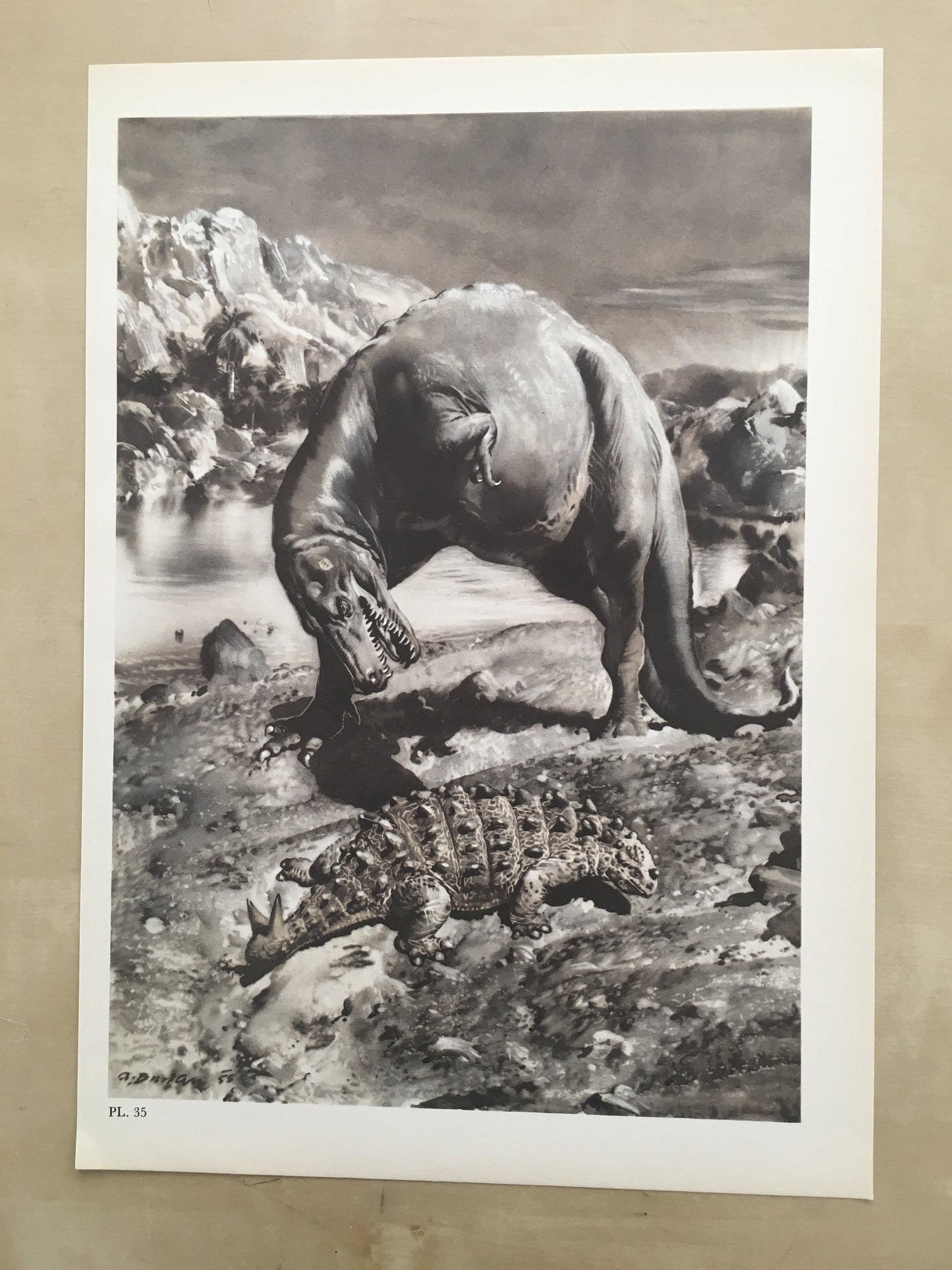 1960 GORGOSAURUS DINOSAUR Print - Prehistoric Animals Print - Paleoart - Dinosaur Decoration - 63 Years Old - 13.5 x 9.75 Inches