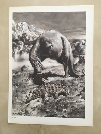 1960 GORGOSAURUS DINOSAUR Print - Prehistoric Animals Print - Paleoart - Dinosaur Decoration - 63 Years Old - 13.5 x 9.75 Inches