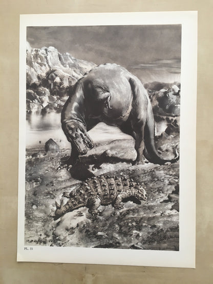 1960 GORGOSAURUS DINOSAUR Print - Prehistoric Animals Print - Paleoart - Dinosaur Decoration - 63 Years Old - 13.5 x 9.75 Inches