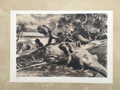 1960 PROTOCERATOPS DINOSAUR Print - Prehistoric Animals Print - Paleoart - Dinosaur Decoration - 63 Years Old - 13.5 x 9.75 Inches