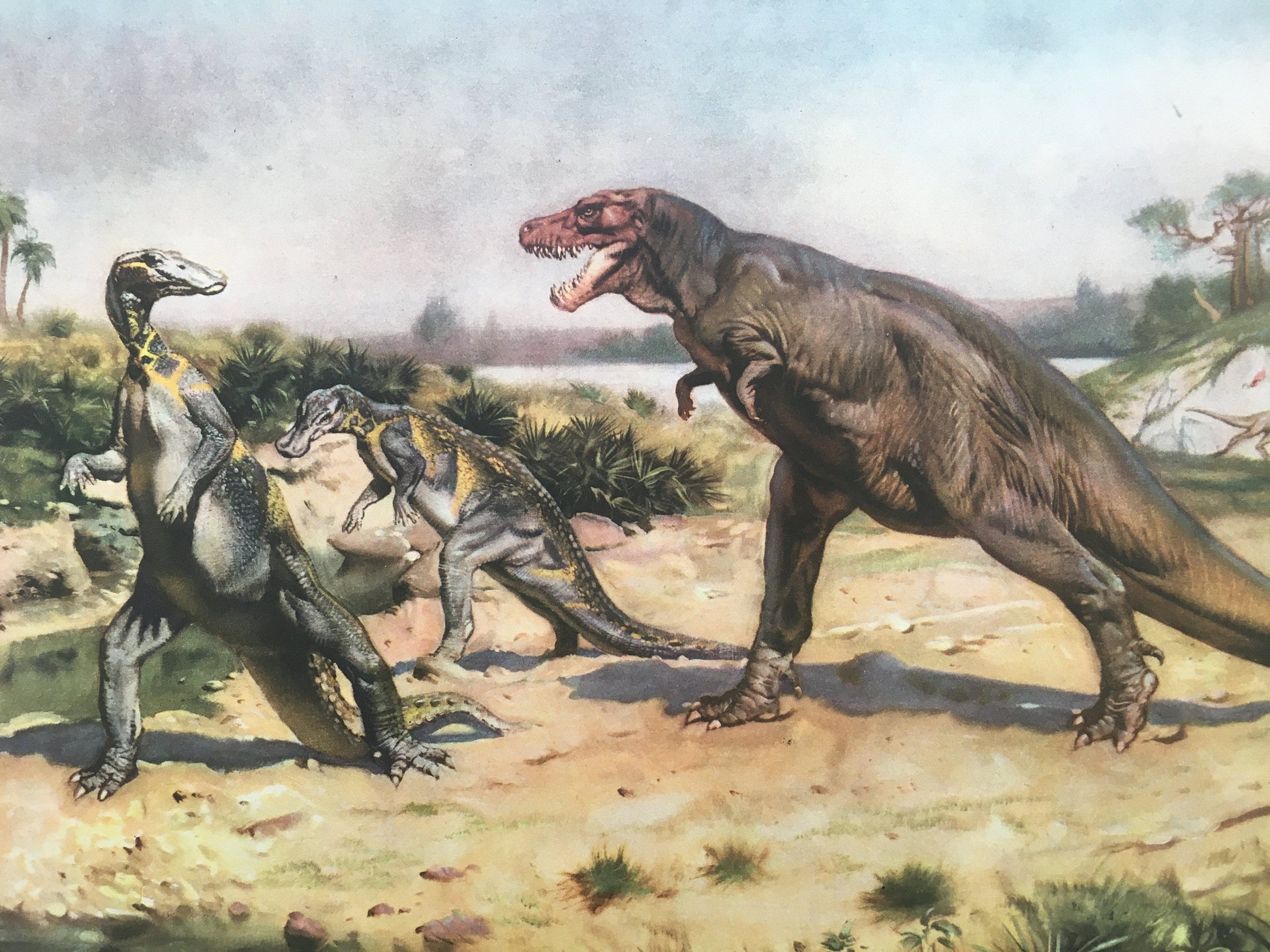 1960 TYRANNOSAURUS REX DINOSAUR Print - Prehistoric Animals Print - Paleoart - T Rex Print - 63 Years Old - 13.5 x 9.75 Inches