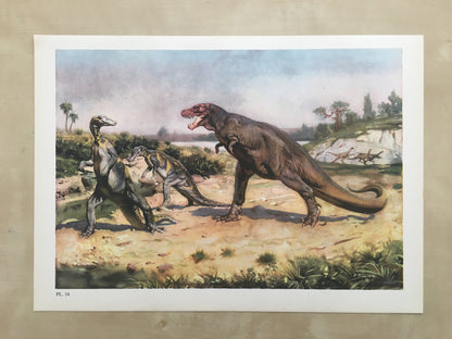 1960 TYRANNOSAURUS REX DINOSAUR Print - Prehistoric Animals Print - Paleoart - T Rex Print - 63 Years Old - 13.5 x 9.75 Inches