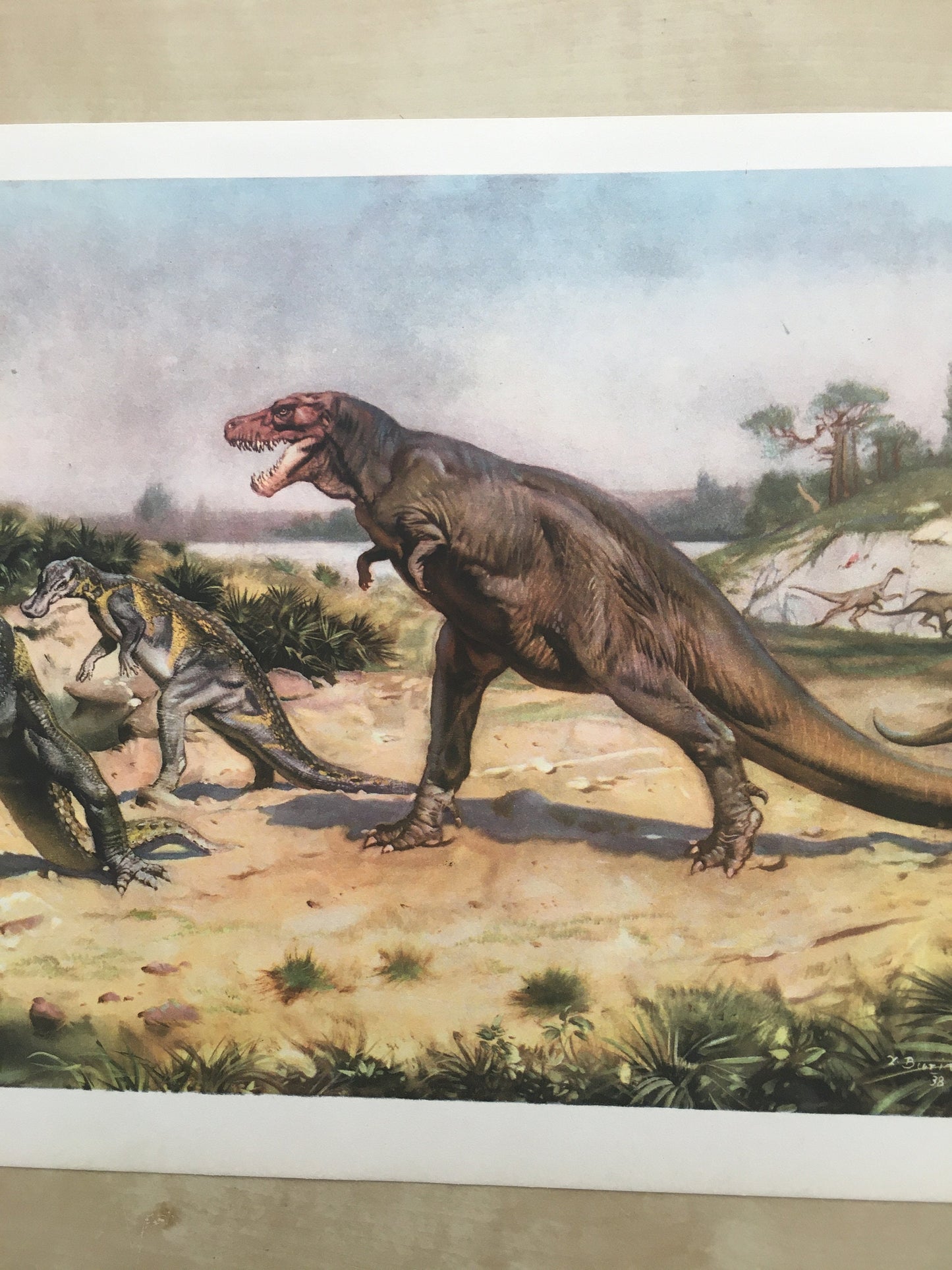 1960 TYRANNOSAURUS REX DINOSAUR Print - Prehistoric Animals Print - Paleoart - T Rex Print - 63 Years Old - 13.5 x 9.75 Inches