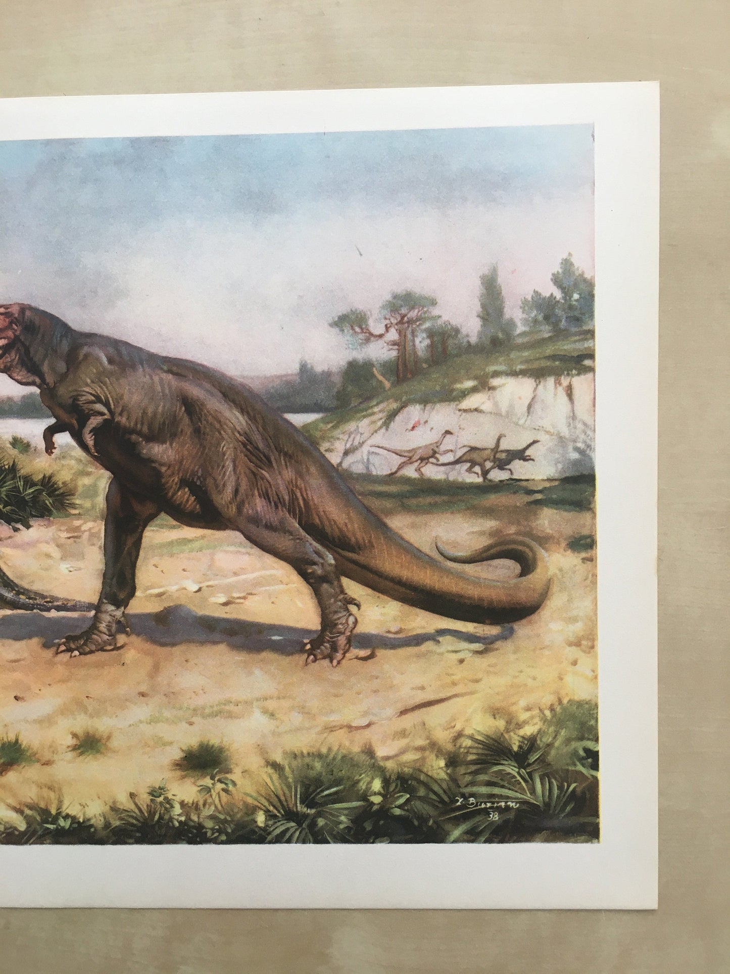 1960 TYRANNOSAURUS REX DINOSAUR Print - Prehistoric Animals Print - Paleoart - T Rex Print - 63 Years Old - 13.5 x 9.75 Inches