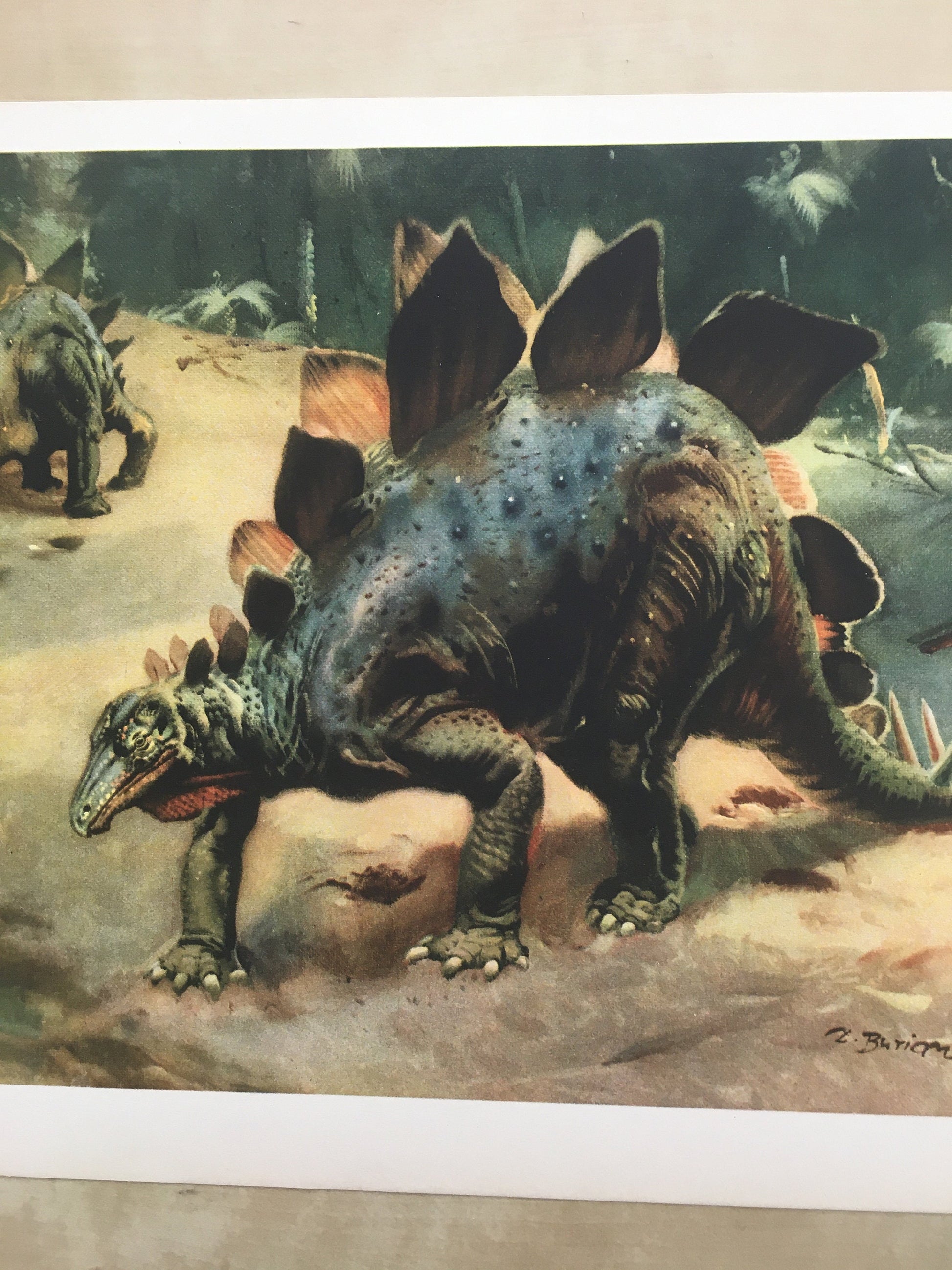 1960 STEGOSAURUS DINOSAUR Print - Prehistoric Animals Print - Paleoart - Dinosaur Decoration - 63 Years Old - 13.5 x 9.75 Inches