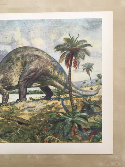 1960 BRONTOSAURUS DINOSAUR Print - Prehistoric Animals Print - Paleoart - Dinosaur Decoration - 63 Years Old - 13.5 x 9.75 Inches