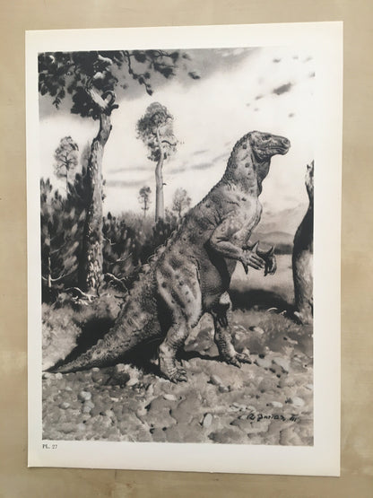 1960 IGUANODON DINOSAUR Print - Prehistoric Animals Print - Paleoart - Dinosaur Decoration - 63 Years Old - 13.5 x 9.75 Inches