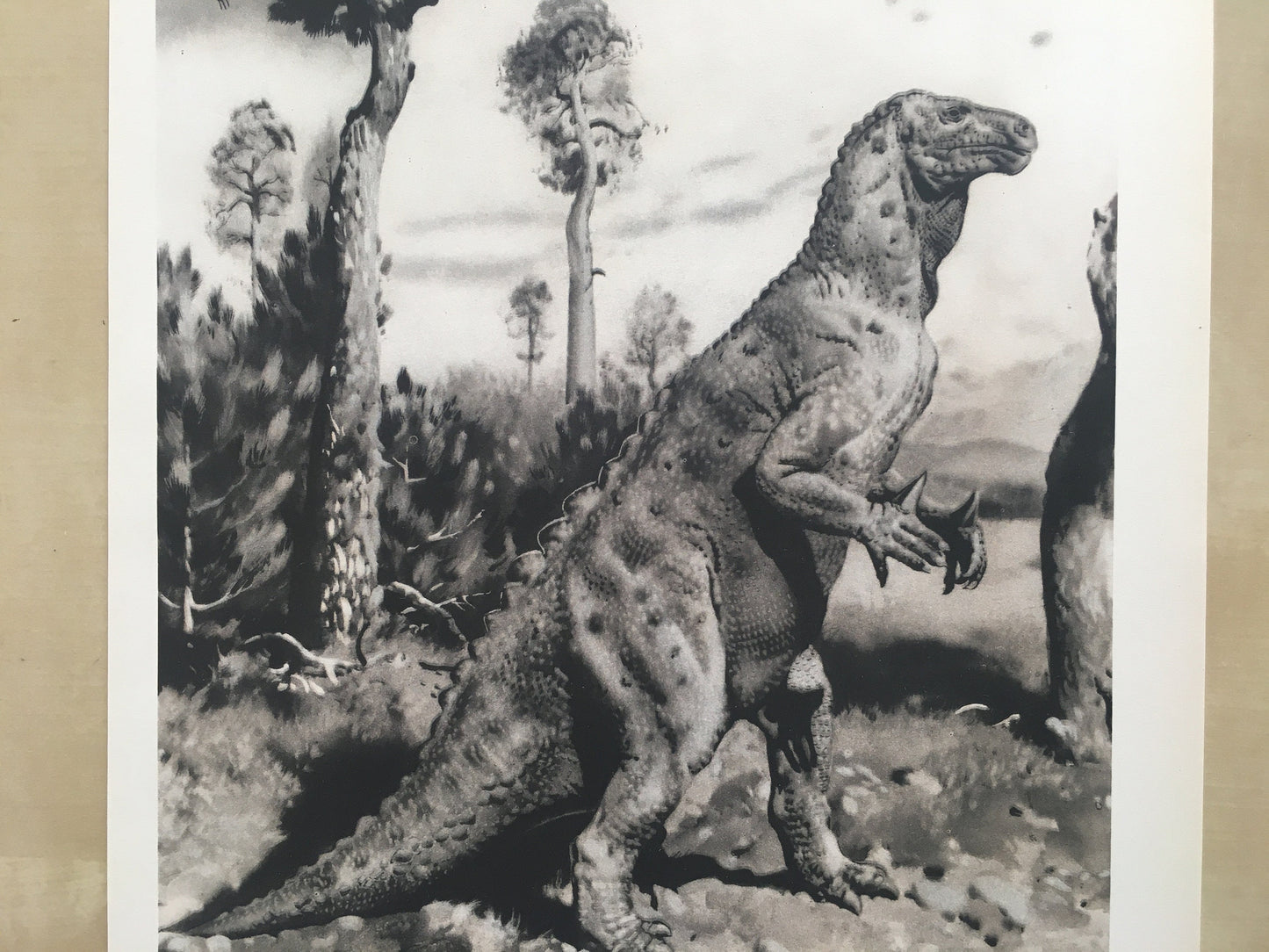 1960 IGUANODON DINOSAUR Print - Prehistoric Animals Print - Paleoart - Dinosaur Decoration - 63 Years Old - 13.5 x 9.75 Inches
