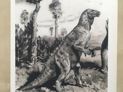 1960 IGUANODON DINOSAUR Print - Prehistoric Animals Print - Paleoart - Dinosaur Decoration - 63 Years Old - 13.5 x 9.75 Inches