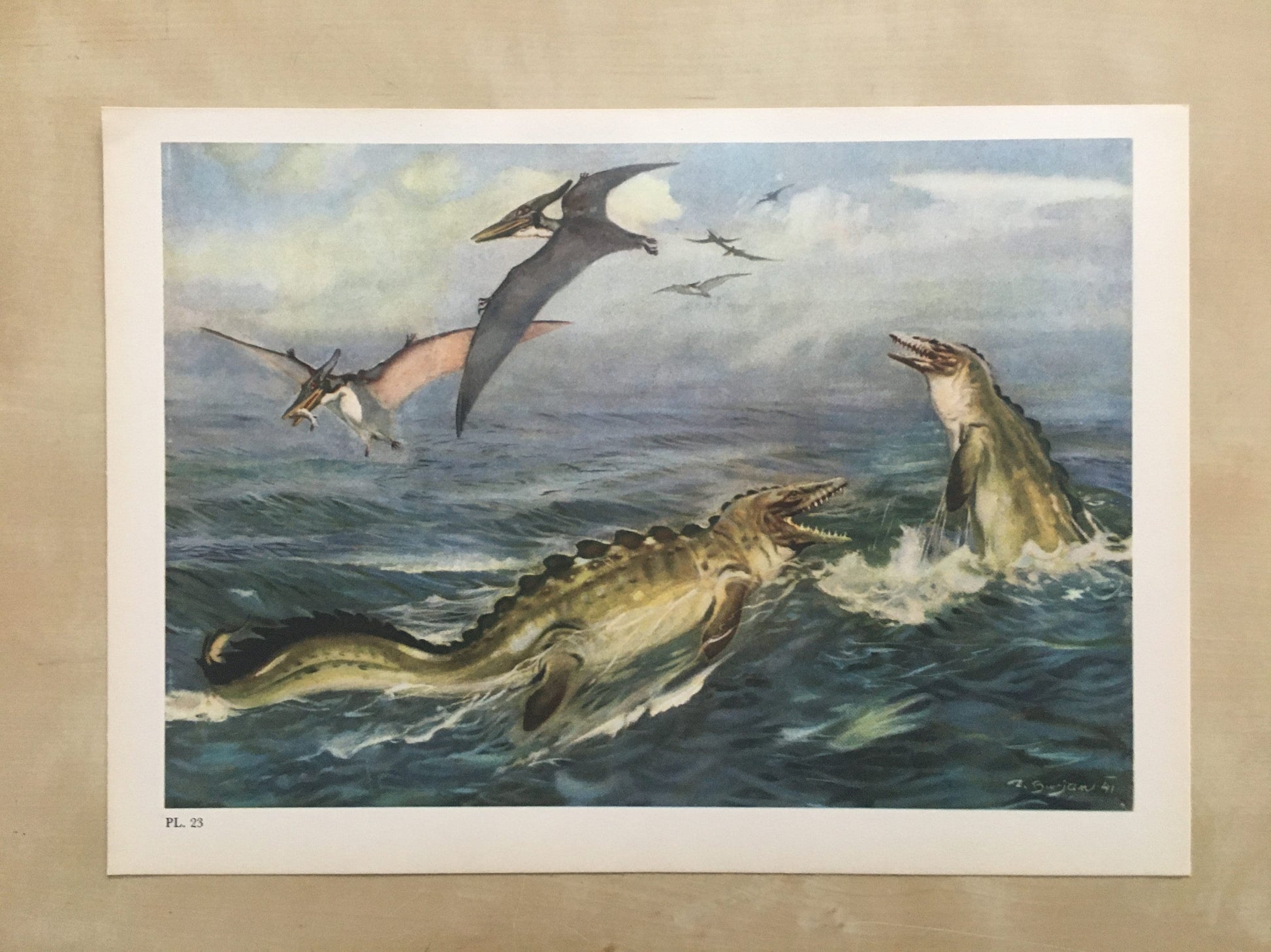 1960 PTERANODON & MOSASAUR DINOSAUR Print - Prehistoric Animals Print - Paleoart - Dinosaur Decoration - 63 Years Old - 13.5 x 9.75 Inches