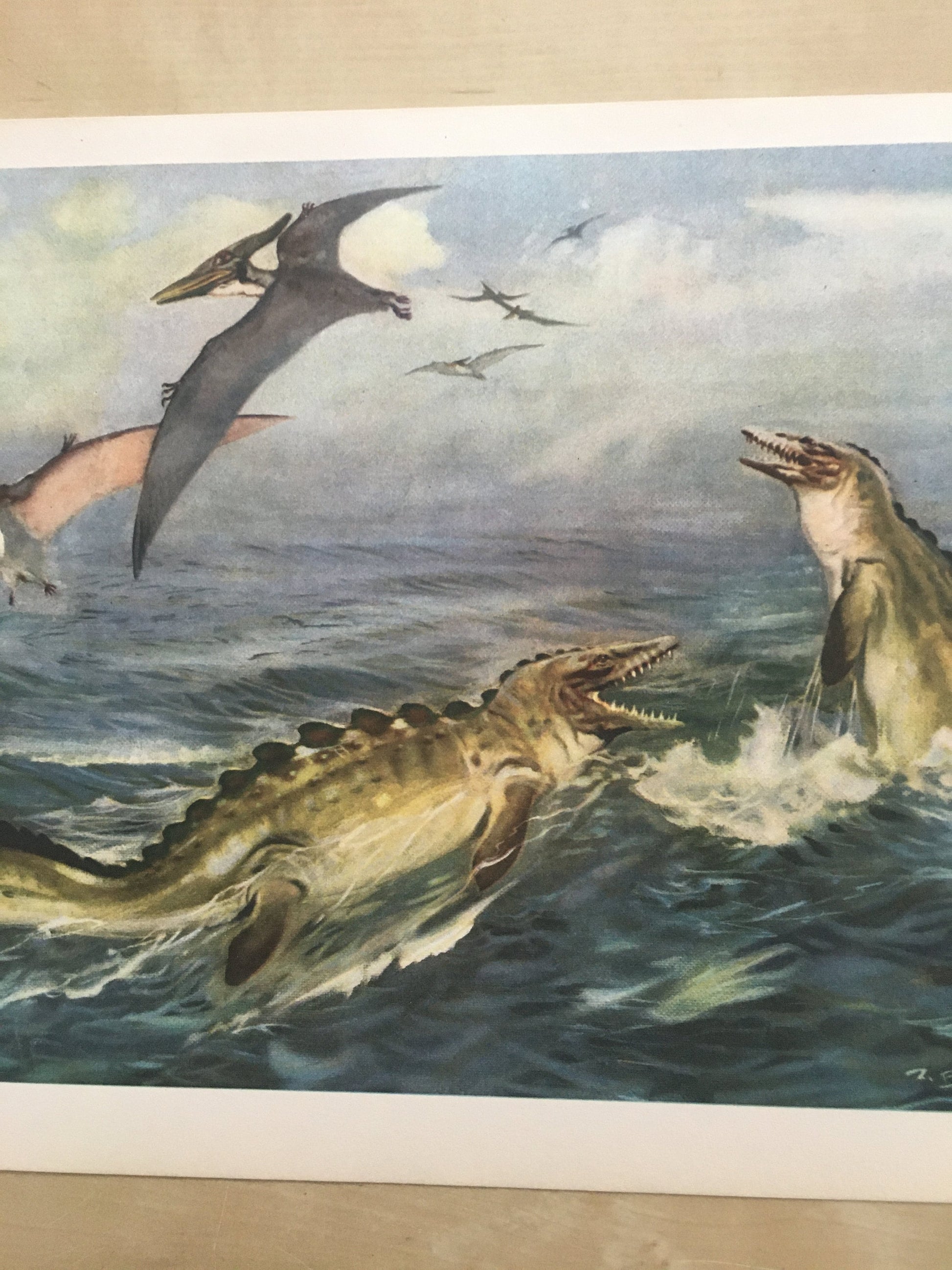 1960 PTERANODON & MOSASAUR DINOSAUR Print - Prehistoric Animals Print - Paleoart - Dinosaur Decoration - 63 Years Old - 13.5 x 9.75 Inches