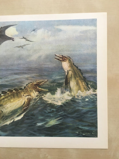 1960 PTERANODON & MOSASAUR DINOSAUR Print - Prehistoric Animals Print - Paleoart - Dinosaur Decoration - 63 Years Old - 13.5 x 9.75 Inches