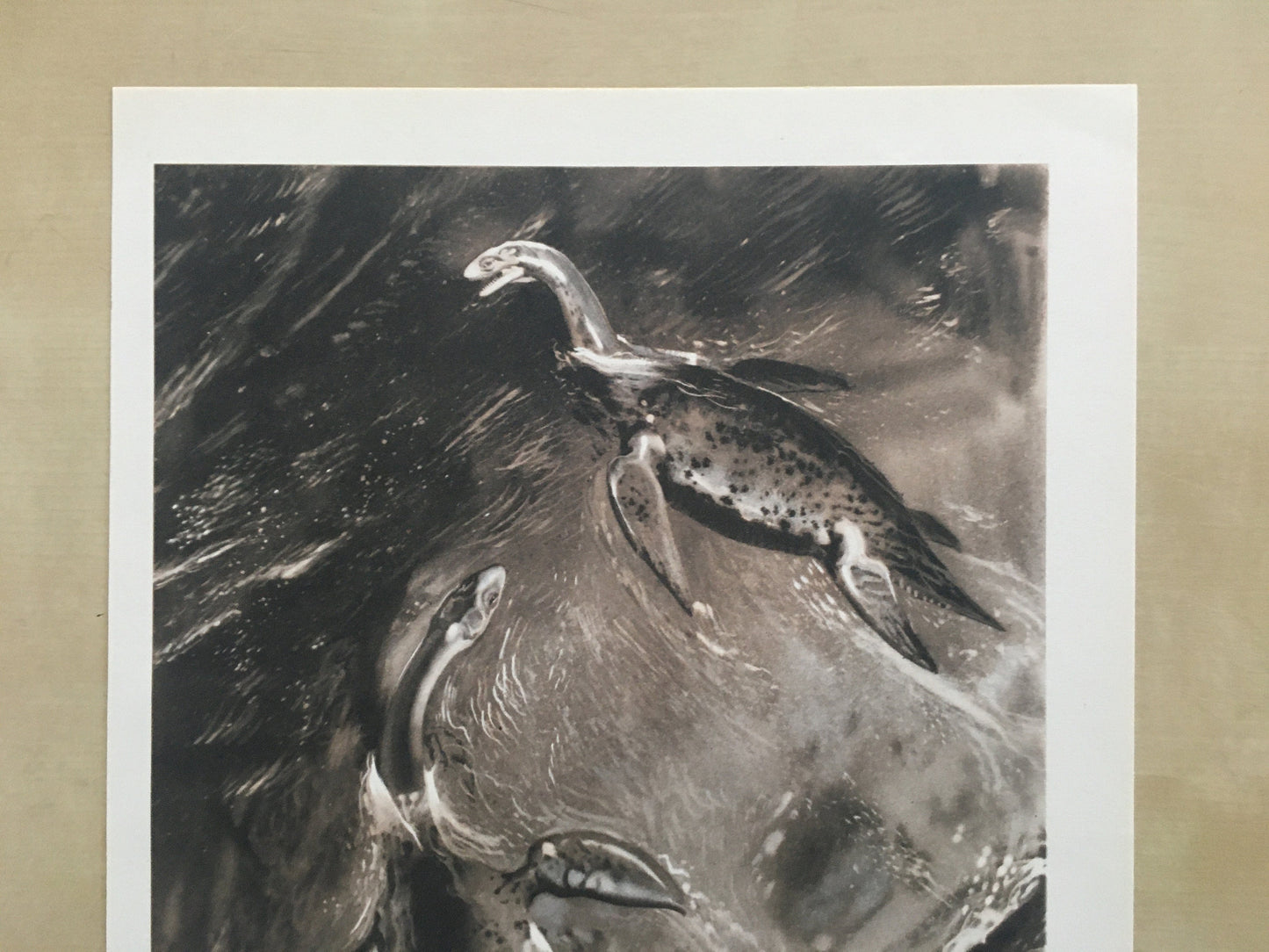 1960 CRYPTOCLIDUS (PLESIOSAUR) Print - Prehistoric Animals Print - Paleoart - Dinosaur Decoration - 63 Years Old - 13.5 x 9.75 Inches