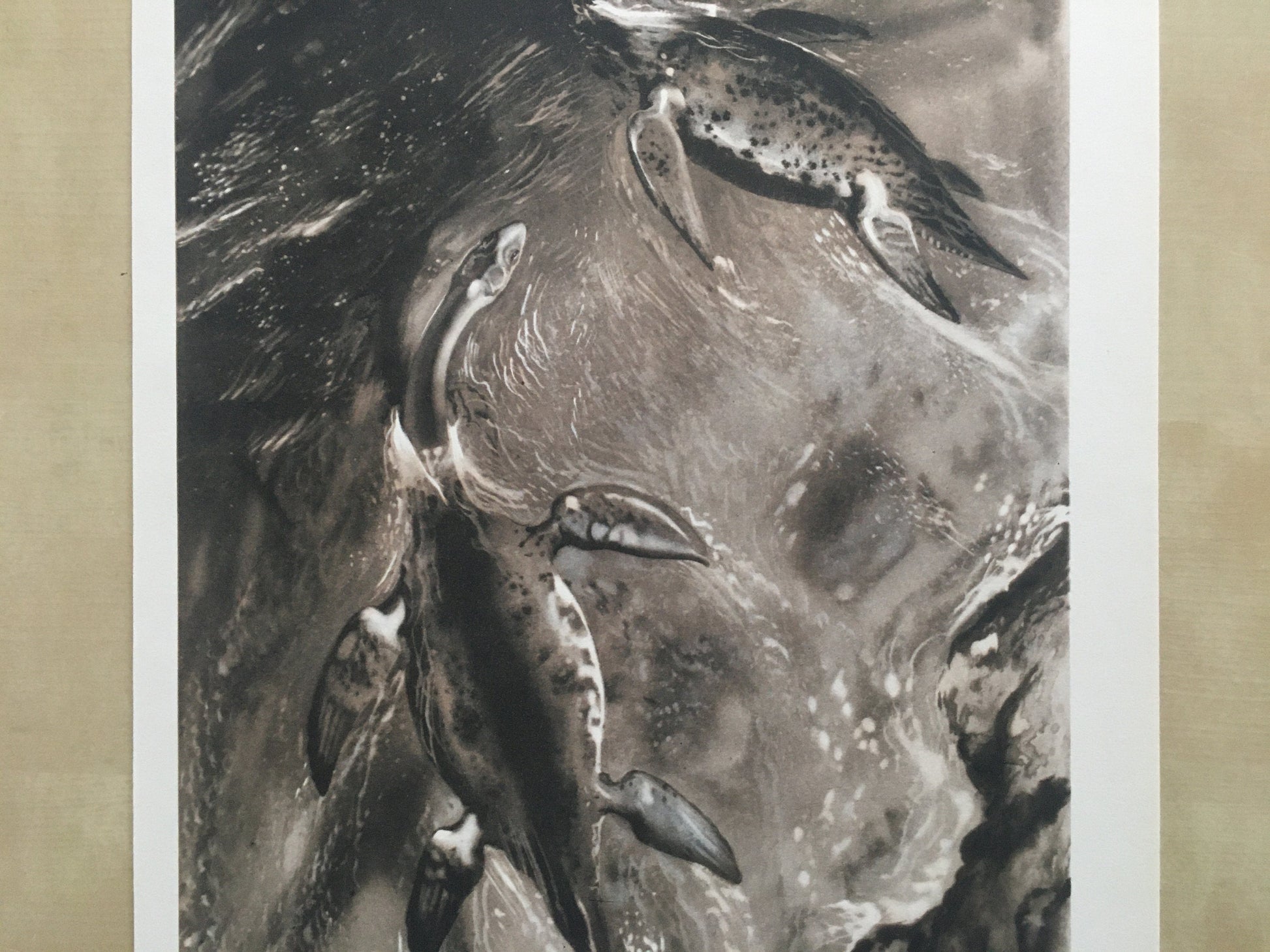 1960 CRYPTOCLIDUS (PLESIOSAUR) Print - Prehistoric Animals Print - Paleoart - Dinosaur Decoration - 63 Years Old - 13.5 x 9.75 Inches