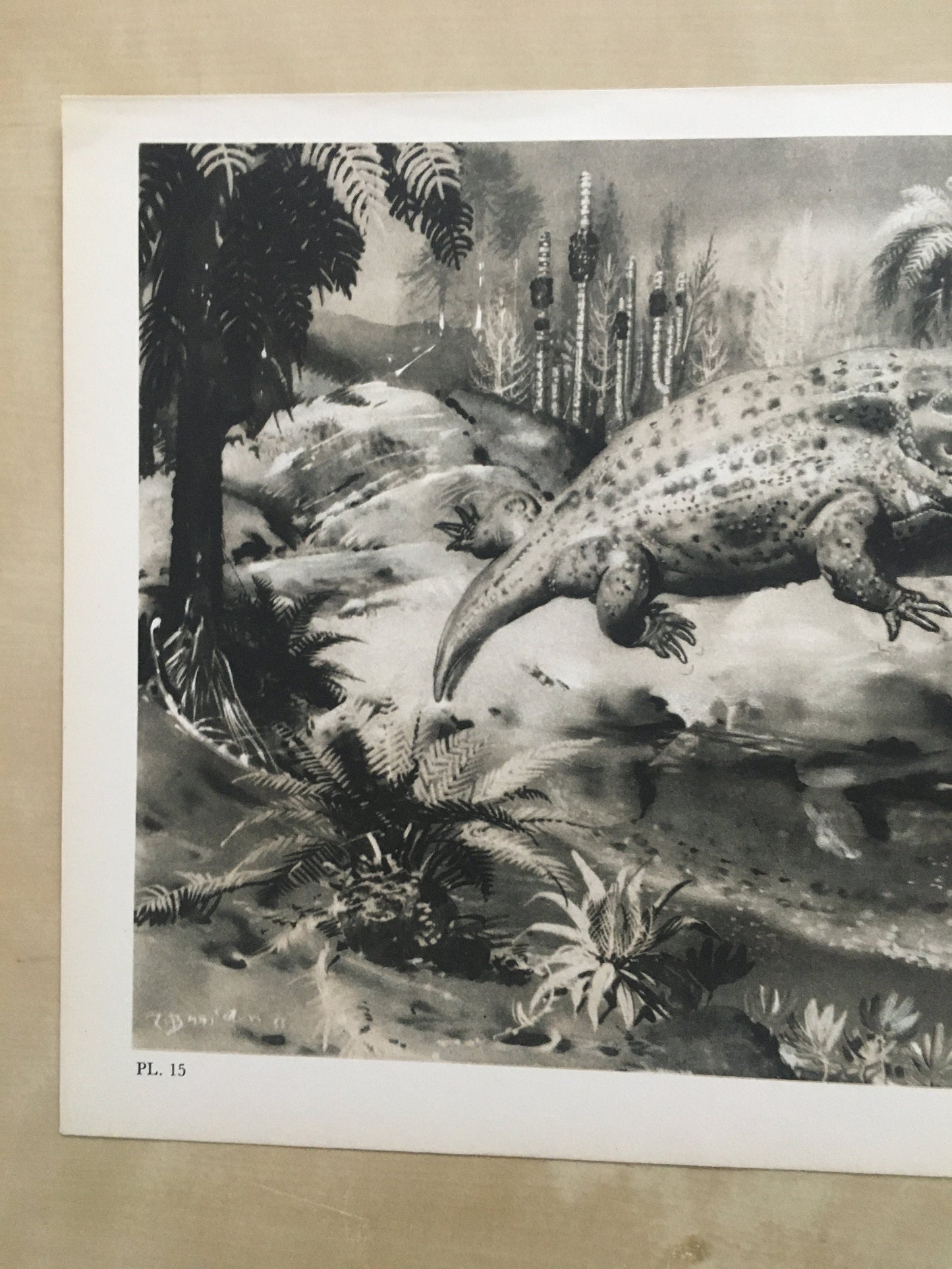 1960 MASTODONSAURUS Print - Prehistoric Animals Print - Paleoart - Paleontology Print - Dinosaur Print - 63 Years Old - 13.5 x 9.75 Inches