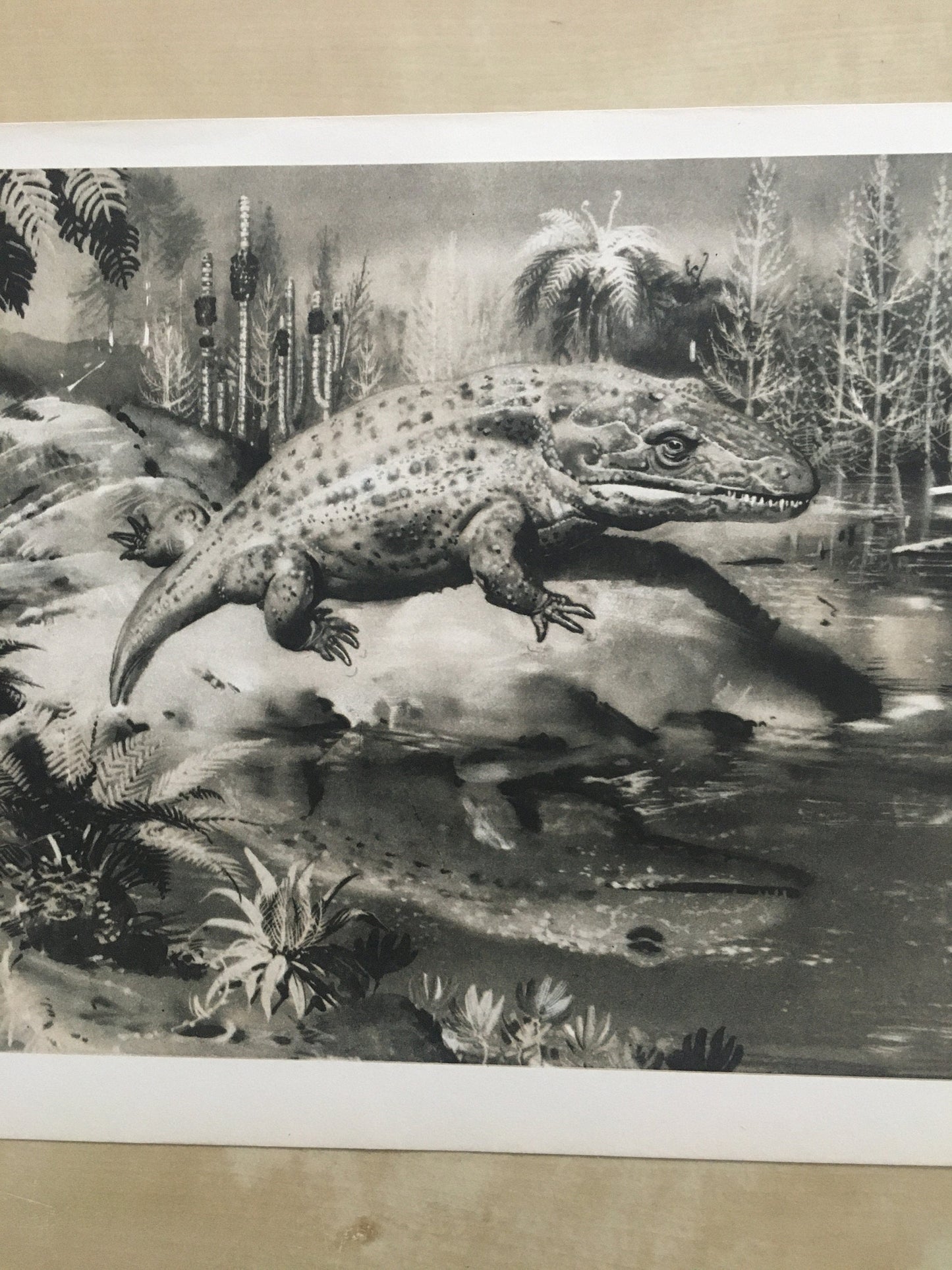 1960 MASTODONSAURUS Print - Prehistoric Animals Print - Paleoart - Paleontology Print - Dinosaur Print - 63 Years Old - 13.5 x 9.75 Inches