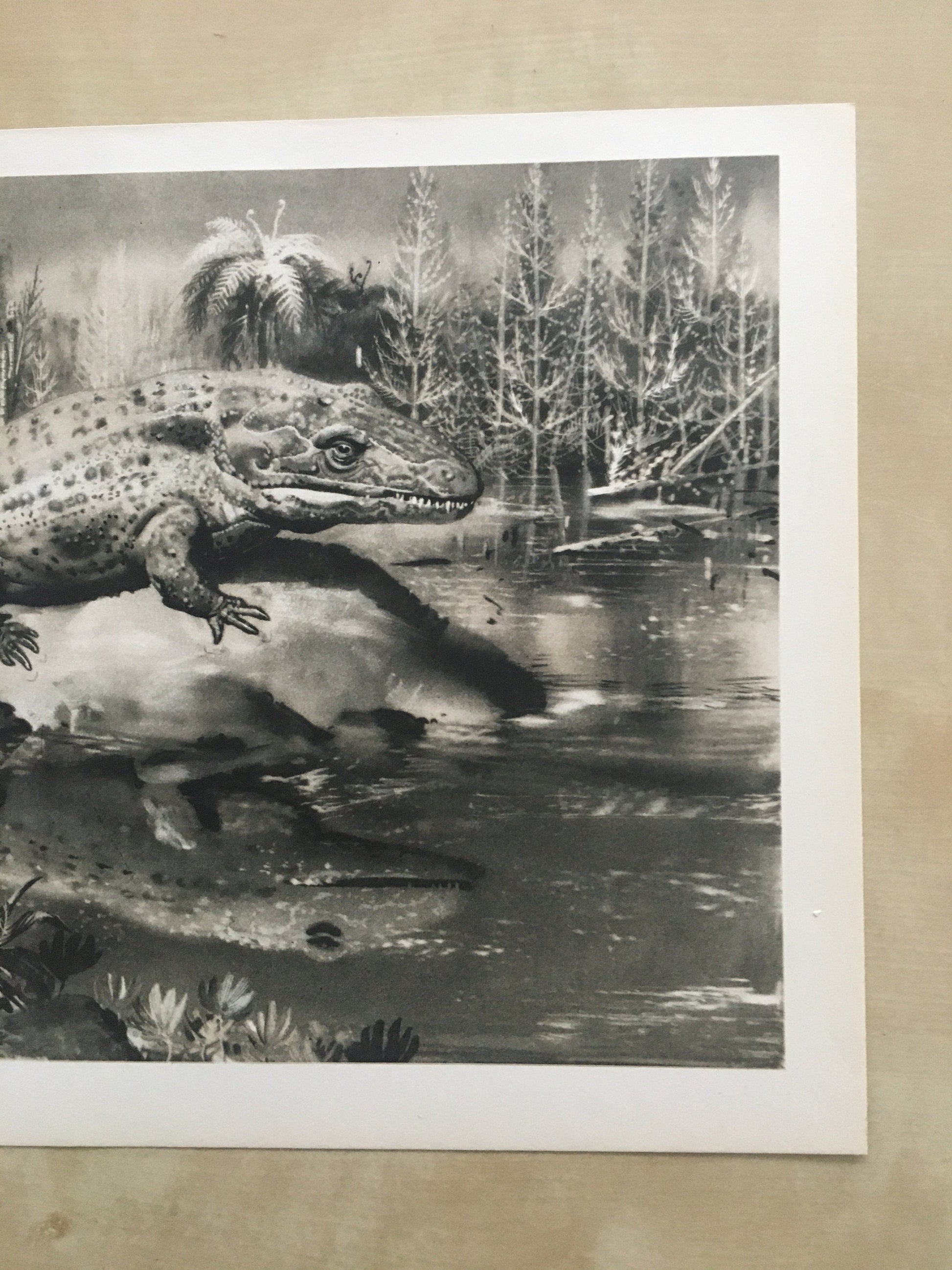 1960 MASTODONSAURUS Print - Prehistoric Animals Print - Paleoart - Paleontology Print - Dinosaur Print - 63 Years Old - 13.5 x 9.75 Inches