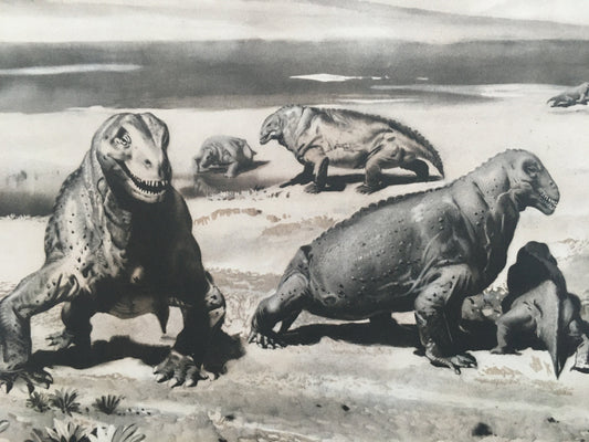 1960 MOSCHOPS Print - Prehistoric Animals Print - Paleoart - Paleontology Print - Dinosaur Print - 63 Years Old - 13.5 x 9.75 Inches