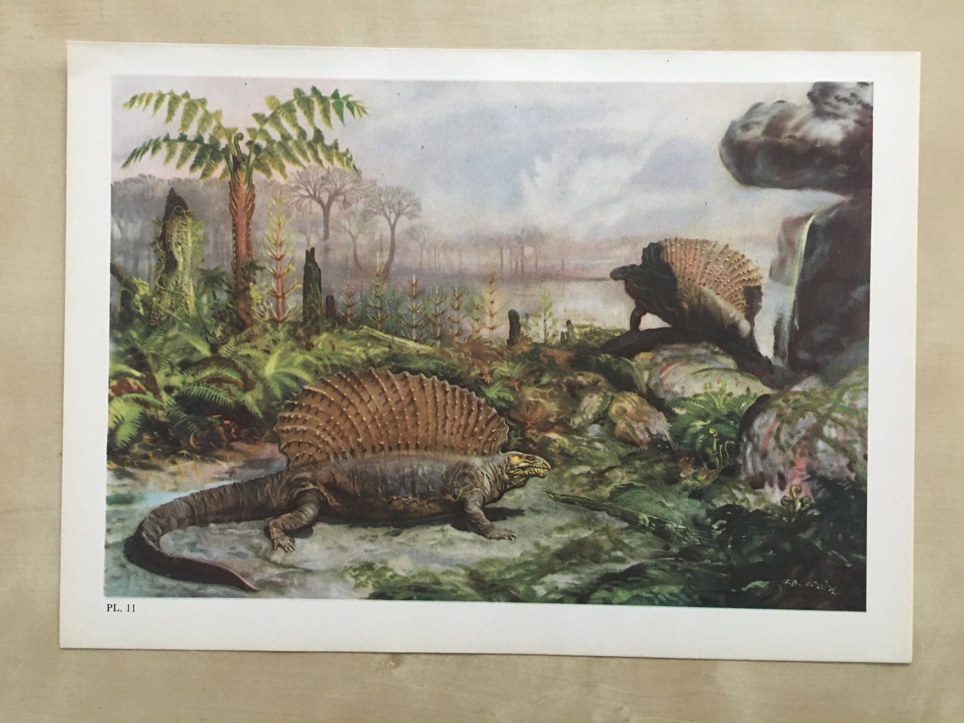 1960 EDAPHOSAURUS Print - Prehistoric Animals Print - Paleoart - Paleontology Print - Dinosaur Print - 63 Years Old - 13.5 x 9.75 Inches