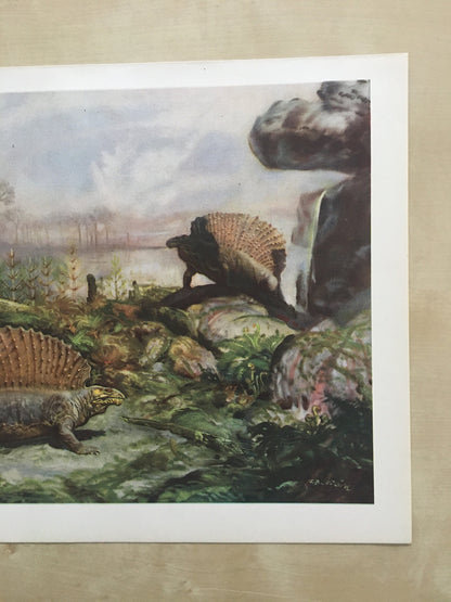 1960 EDAPHOSAURUS Print - Prehistoric Animals Print - Paleoart - Paleontology Print - Dinosaur Print - 63 Years Old - 13.5 x 9.75 Inches