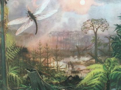 1960 MEGANEURA Print - Prehistoric Animals Print - Paleoart - Paleontology Print - Insect Print - 63 Years Old - 13.5 x 9.75 Inches