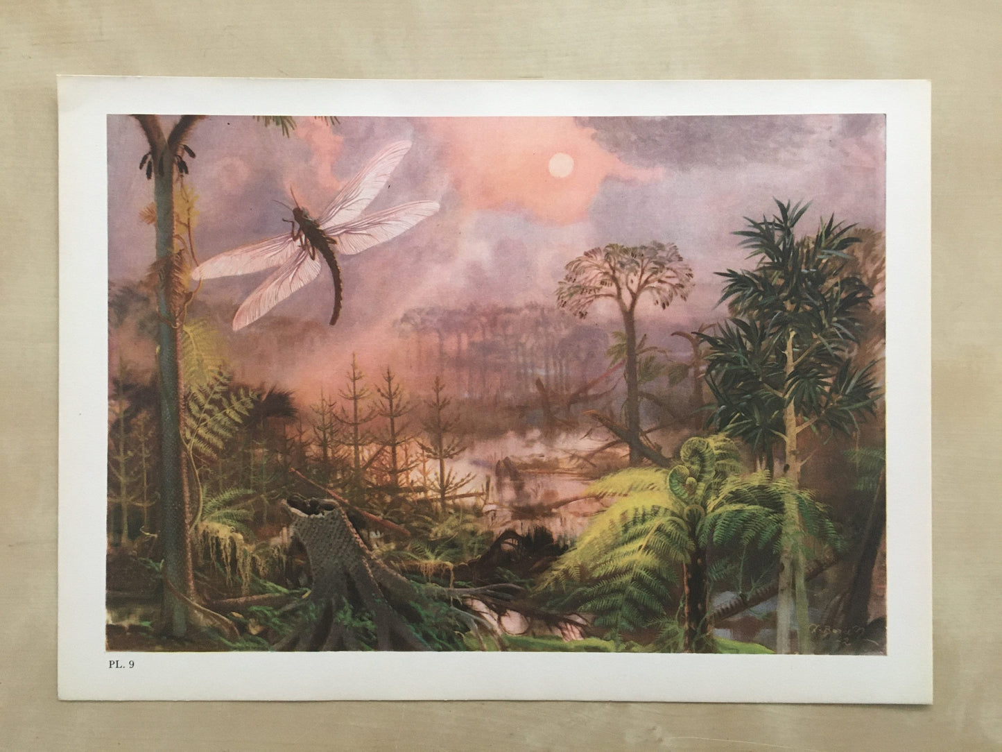 1960 MEGANEURA Print - Prehistoric Animals Print - Paleoart - Paleontology Print - Insect Print - 63 Years Old - 13.5 x 9.75 Inches