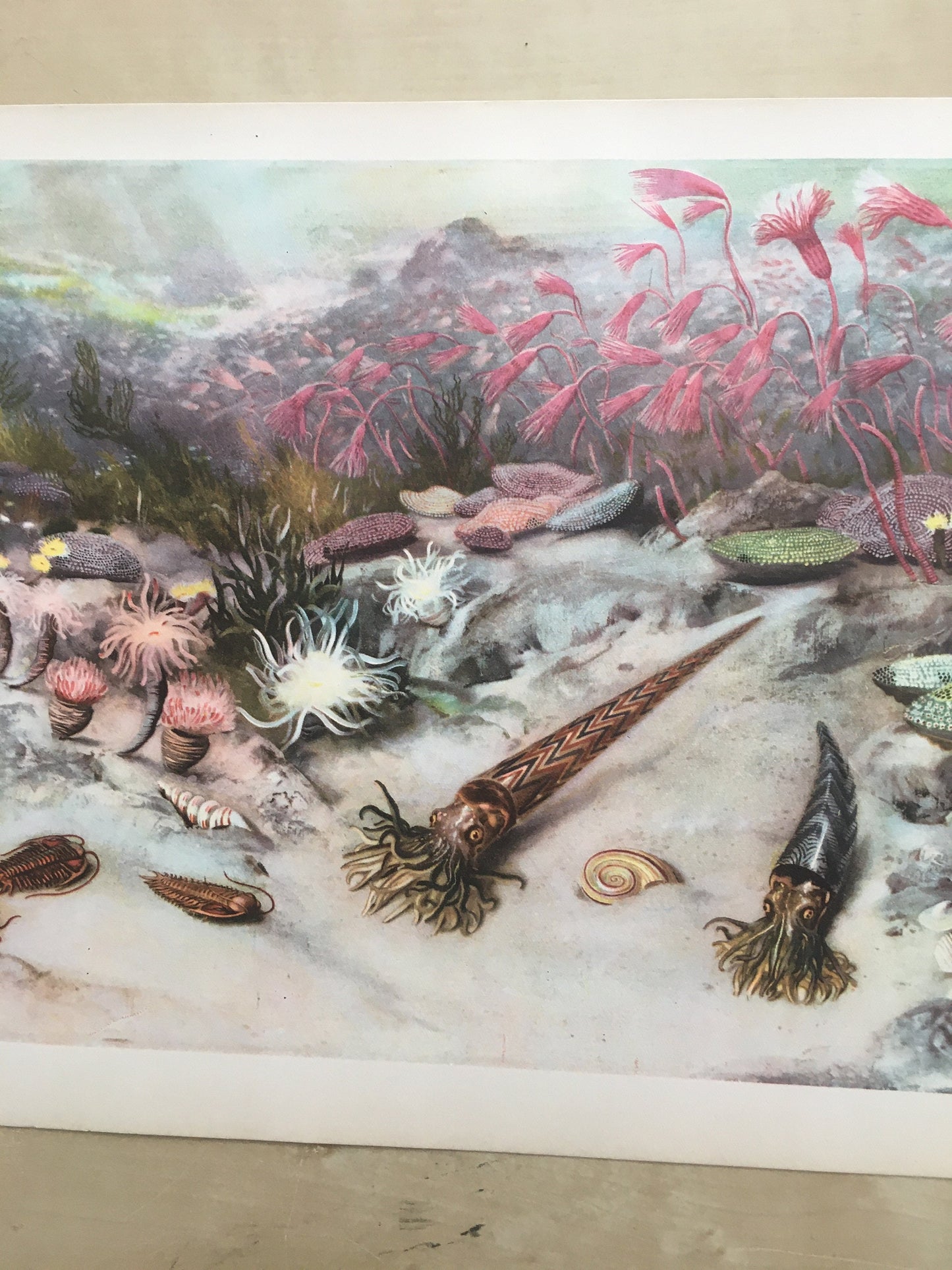 1960 SILURIAN SEA Print - Prehistoric Animals Print - Paleoart - Paleontology Print - Dinosaur Print - 63 Years Old - 13.5 x 9.75 Inches