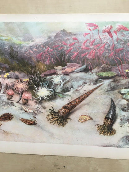 1960 SILURIAN SEA Print - Prehistoric Animals Print - Paleoart - Paleontology Print - Dinosaur Print - 63 Years Old - 13.5 x 9.75 Inches