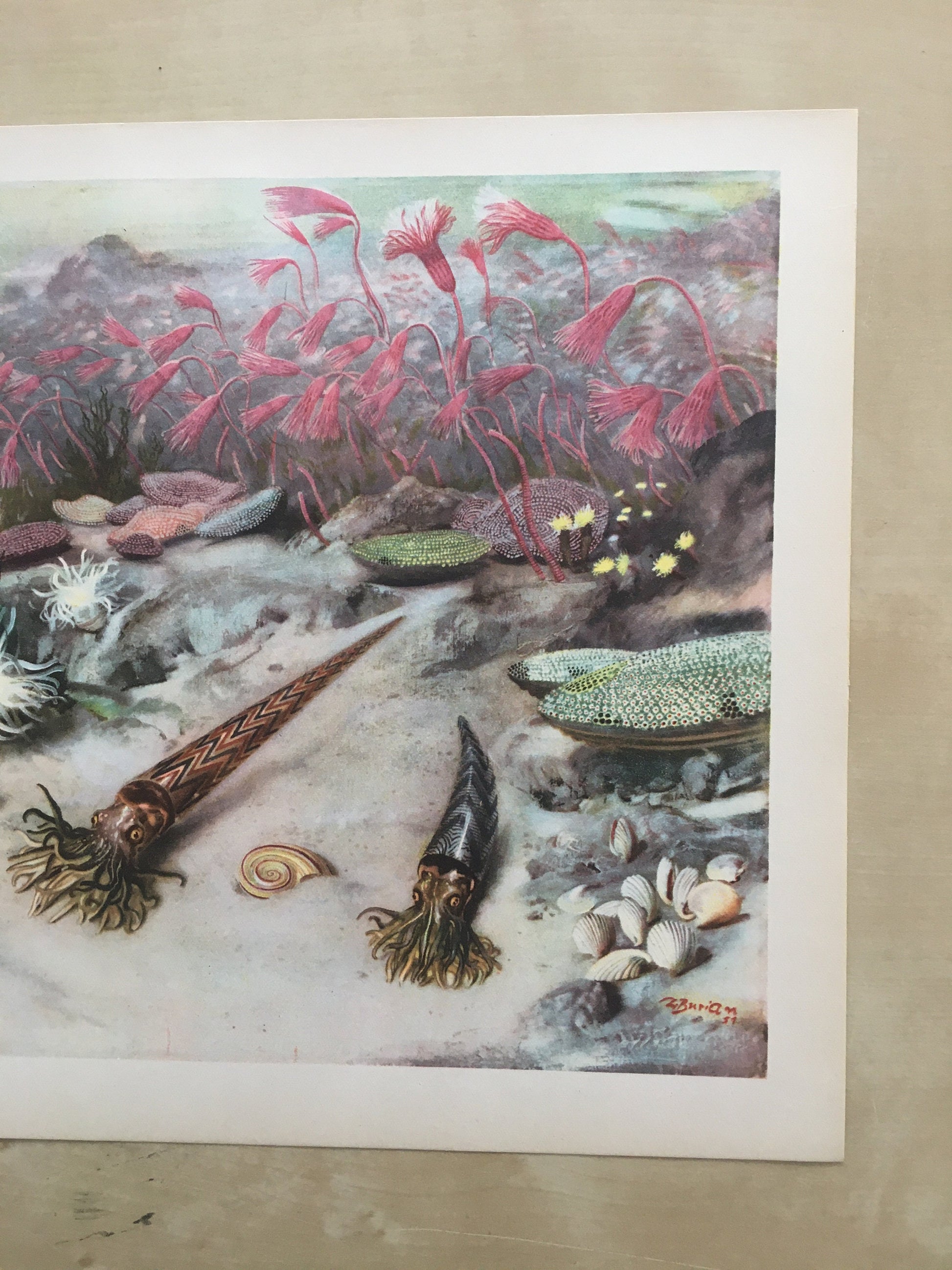 1960 SILURIAN SEA Print - Prehistoric Animals Print - Paleoart - Paleontology Print - Dinosaur Print - 63 Years Old - 13.5 x 9.75 Inches