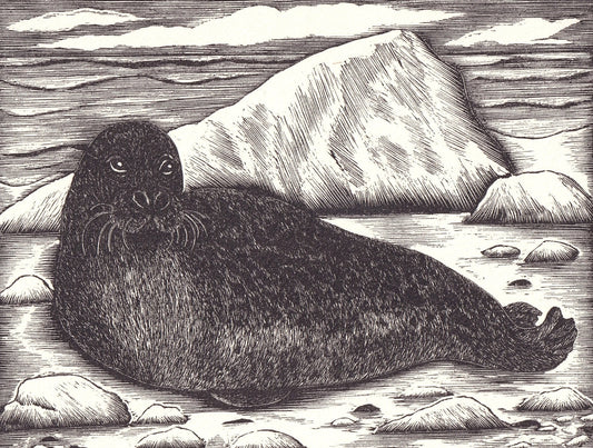 1931 GREY SEAL Print Wood Engraving - Seal Wall Art - Zoology Print - Antique Animal Wood Engraving - 92 Years Old - 7.8 x 5.25 Inches
