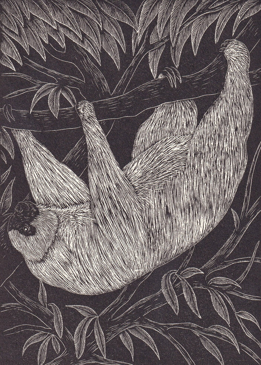 1931 SLOTH Print Wood Engraving - Wall Art - Zoology Print - Antique Animal Wood Engraving - 92 Years Old - 7.8 x 5.25 Inches