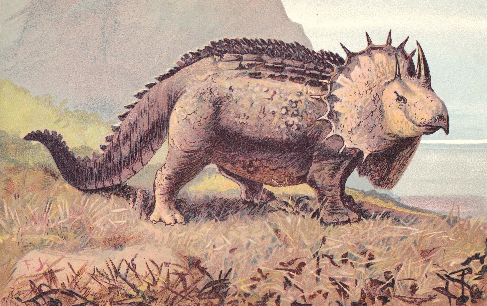 1902 TRICERATOPS DINOSAUR Print - Antique Dinosaur Print - Paleoart - Dinosaur Wall Art - 121 Years Old - 10.5 x 7.5 Inches