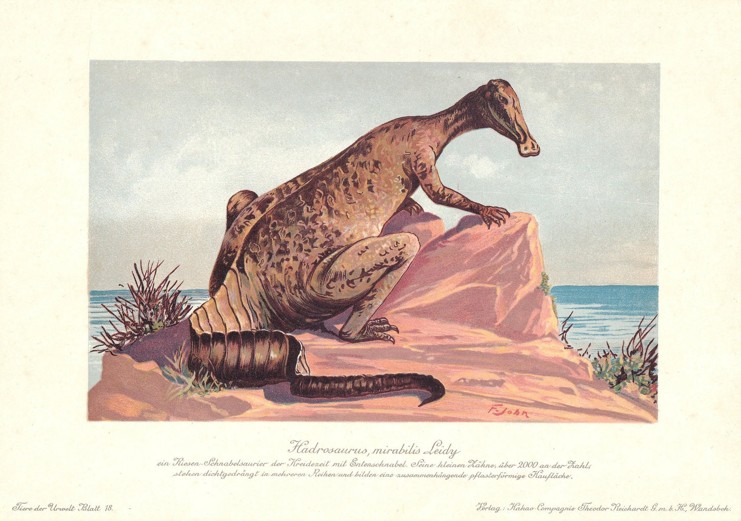 1902 HADROSAURUS DINOSAUR Print - Antique Dinosaur Print - Paleoart - Dinosaur Wall Art - 121 Years Old - 10.5 x 7.5 Inches