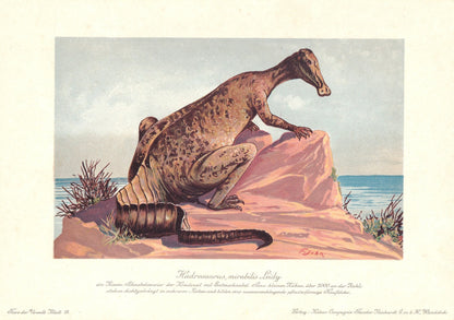 1902 HADROSAURUS DINOSAUR Print - Antique Dinosaur Print - Paleoart - Dinosaur Wall Art - 121 Years Old - 10.5 x 7.5 Inches